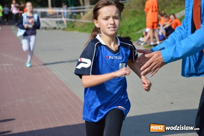 Zdjęcie w galerii na portalu naszwodzislaw.com: Ćwierćwiecze Biegu Gazety Wodzisławskiej. Za nami jubileuszowa edycja. Na starcie stanęło 350 osób wiadomości z regionu