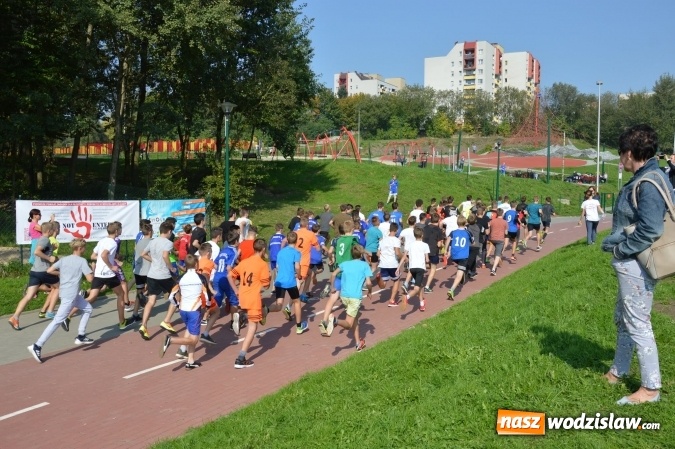 Zdjęcie w galerii na portalu naszwodzislaw.com: Ćwierćwiecze Biegu Gazety Wodzisławskiej. Za nami jubileuszowa edycja. Na starcie stanęło 350 osób wiadomości z regionu