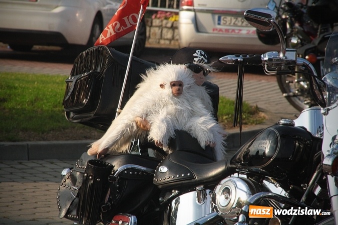 Zdjęcie w galerii na portalu naszwodzislaw.com: Ponad 200 jednośladów zjechało do Marklowic  wiadomości z regionu