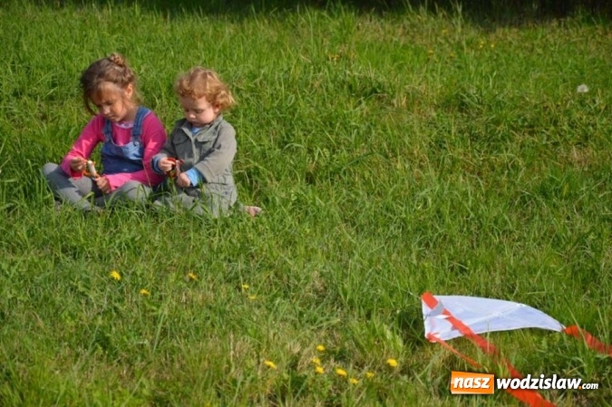 Zdjęcie w galerii na portalu naszwodzislaw.com: Latawiec w Radlinie ma swoje święto wiadomości z regionu