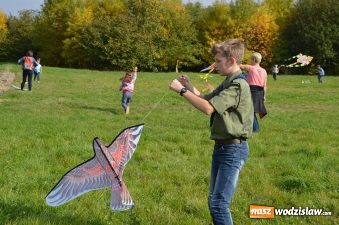 Zdjęcie w galerii na portalu naszwodzislaw.com: Latawiec w Radlinie ma swoje święto wiadomości z regionu