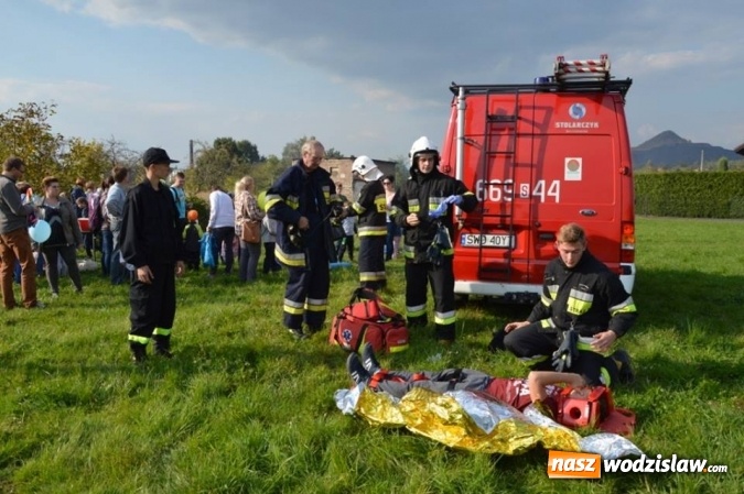 Zdjęcie w galerii na portalu naszwodzislaw.com: Latawiec w Radlinie ma swoje święto wiadomości z regionu