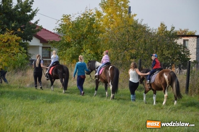 Zdjęcie w galerii na portalu naszwodzislaw.com: Latawiec w Radlinie ma swoje święto wiadomości z regionu