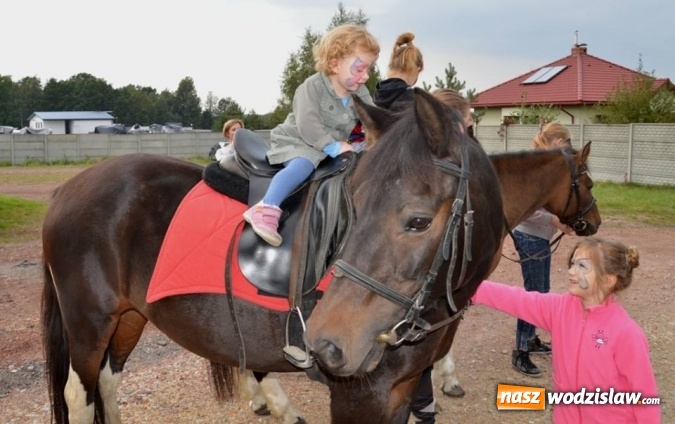 Zdjęcie w galerii na portalu naszwodzislaw.com: Latawiec w Radlinie ma swoje święto wiadomości z regionu