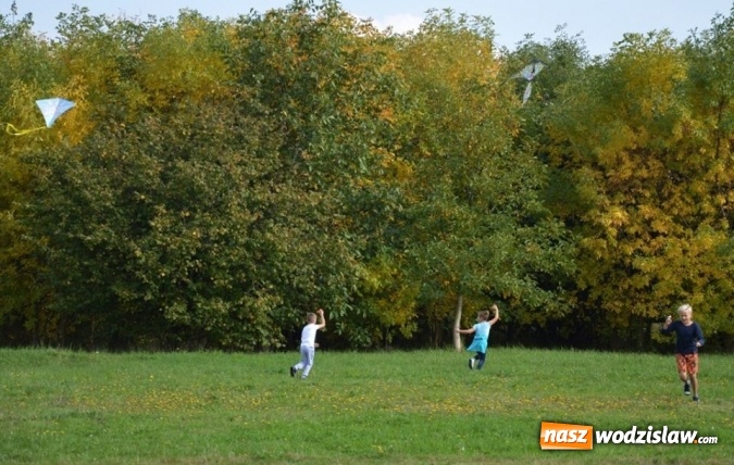 Zdjęcie w galerii na portalu naszwodzislaw.com: Latawiec w Radlinie ma swoje święto wiadomości z regionu