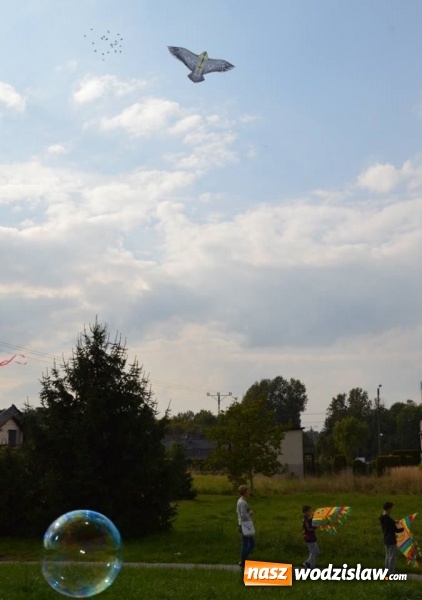 Zdjęcie w galerii na portalu naszwodzislaw.com: Latawiec w Radlinie ma swoje święto wiadomości z regionu