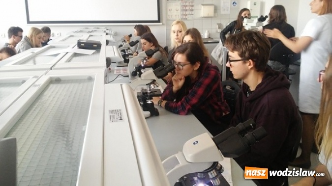 Zdjęcie w galerii na portalu naszwodzislaw.com: Poszerzali swoje zainteresowania z chemii i biologii. Uczniowie I LO w Sosnowcu wiadomości z regionu