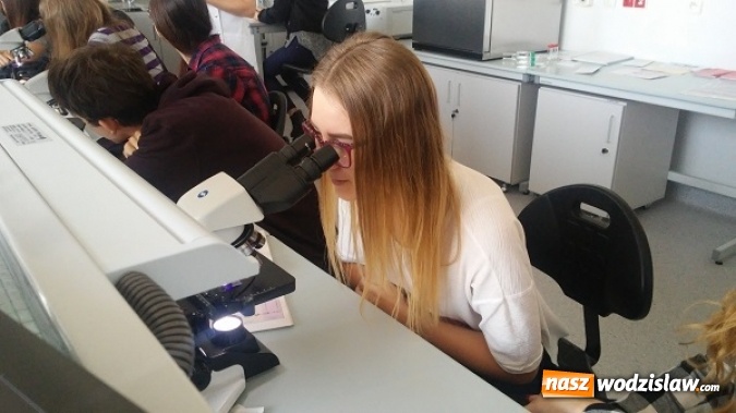 Zdjęcie w galerii na portalu naszwodzislaw.com: Poszerzali swoje zainteresowania z chemii i biologii. Uczniowie I LO w Sosnowcu wiadomości z regionu