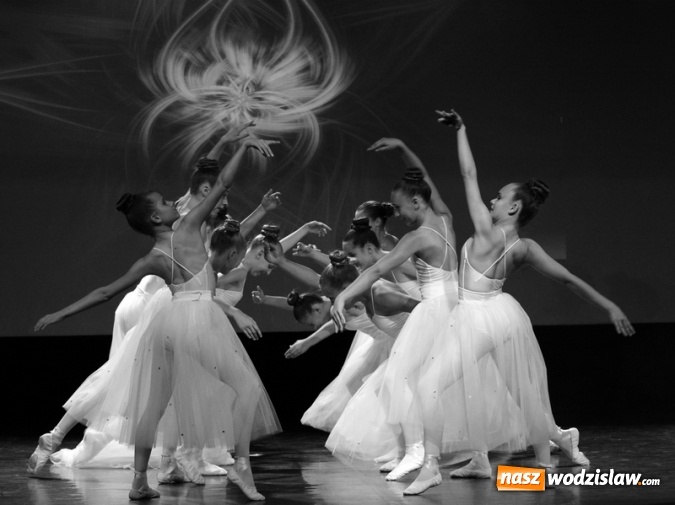 Zdjęcie w galerii na portalu naszwodzislaw.com: Ponad 800 uczestników zajęć w WCK wiadomości z regionu