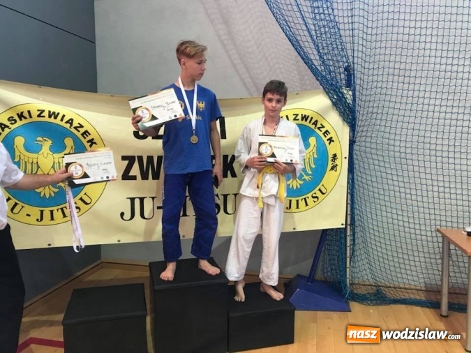 Zdjęcie w galerii na portalu naszwodzislaw.com: Osiem medali dla zawodników Akademii Sportowej Top Team wiadomości z regionu