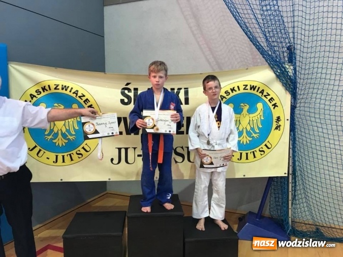 Zdjęcie w galerii na portalu naszwodzislaw.com: Osiem medali dla zawodników Akademii Sportowej Top Team wiadomości z regionu
