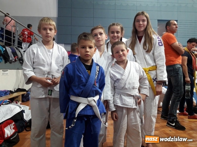 Zdjęcie w galerii na portalu naszwodzislaw.com: Aż pięć medali dla Octagon Team  wiadomości z regionu