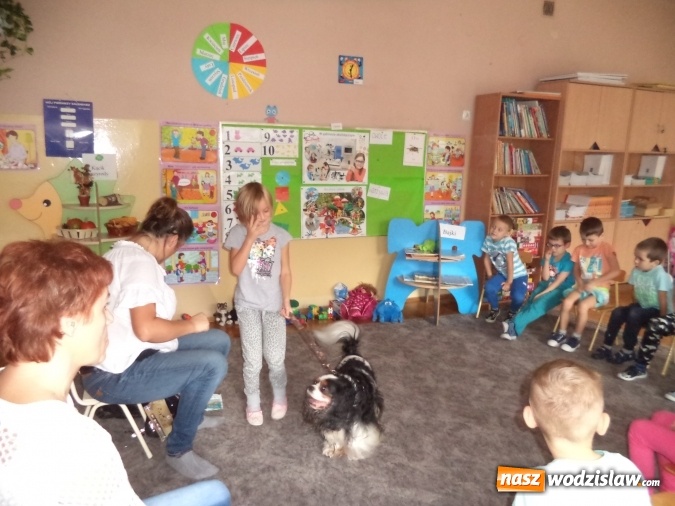 Zdjęcie w galerii na portalu naszwodzislaw.com: Pszów: Przedszkolaki z dwójki na dniach promocji zdrowia  wiadomości z regionu