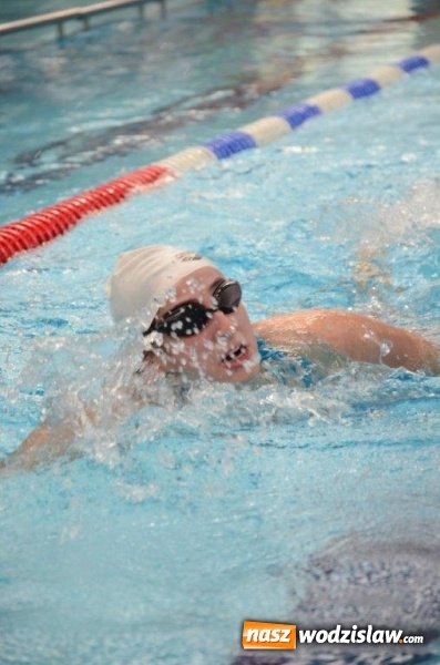 Zdjęcie w galerii na portalu naszwodzislaw.com: I LO w Wodzisławiu Śl. z pływackim pucharem starosty  wiadomości z regionu
