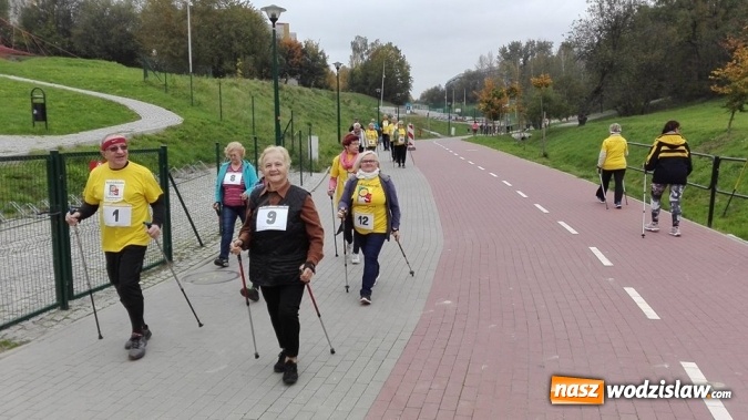 Zdjęcie w galerii na portalu naszwodzislaw.com: 760 km nordic walking seniorów na 760-lecie Wodzisławia Śląskiego. ZDJĘCIA  wiadomości z regionu