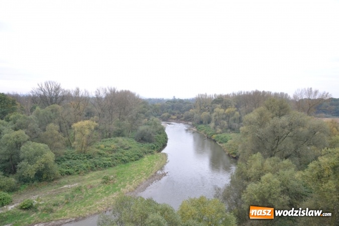 Zdjęcie w galerii na portalu naszwodzislaw.com: W Chałupkach oddano do użytku wieżę widokową. Ma ponad 27 metrów wysokości  wiadomości z regionu