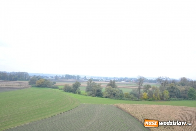 Zdjęcie w galerii na portalu naszwodzislaw.com: W Chałupkach oddano do użytku wieżę widokową. Ma ponad 27 metrów wysokości  wiadomości z regionu