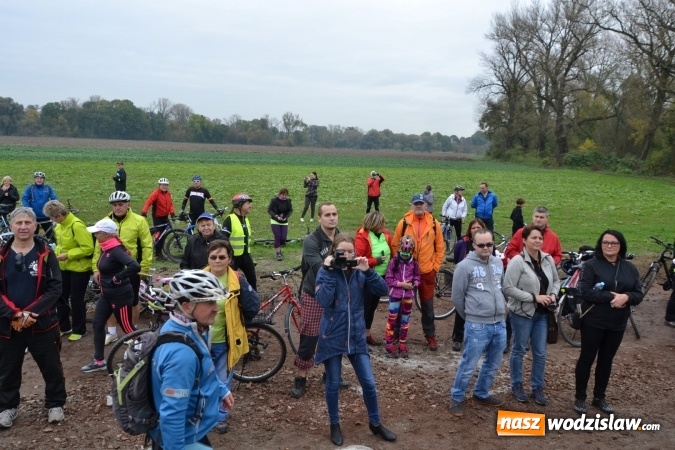 Zdjęcie w galerii na portalu naszwodzislaw.com: W Chałupkach oddano do użytku wieżę widokową. Ma ponad 27 metrów wysokości  wiadomości z regionu