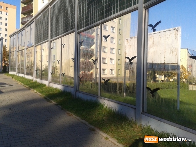 Zdjęcie w galerii na portalu naszwodzislaw.com: Wandale zniszczyli ekrany dźwiękochłonne wiadomości z regionu