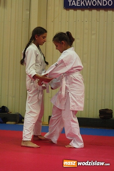 Zdjęcie w galerii na portalu naszwodzislaw.com:  Festiwal Sztuk Walki w Marklowicach. ZDJĘCIA  wiadomości z regionu