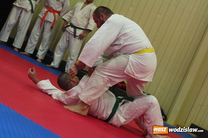 Zdjęcie w galerii na portalu naszwodzislaw.com:  Festiwal Sztuk Walki w Marklowicach. ZDJĘCIA  wiadomości z regionu