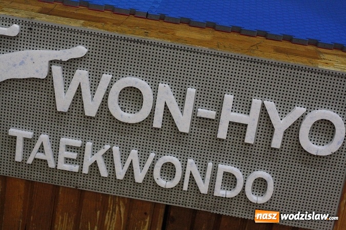 Zdjęcie w galerii na portalu naszwodzislaw.com:  Festiwal Sztuk Walki w Marklowicach. ZDJĘCIA  wiadomości z regionu