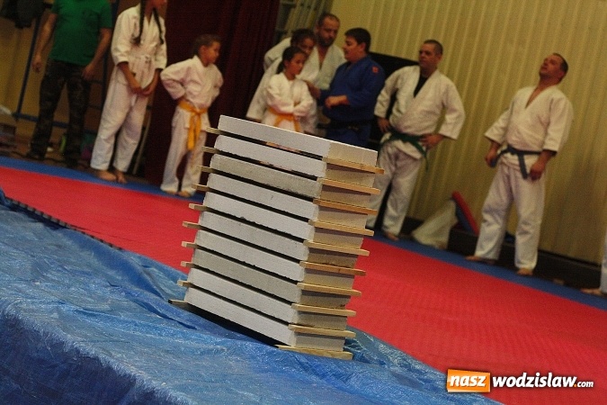 Zdjęcie w galerii na portalu naszwodzislaw.com:  Festiwal Sztuk Walki w Marklowicach. ZDJĘCIA  wiadomości z regionu