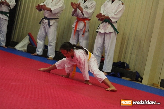 Zdjęcie w galerii na portalu naszwodzislaw.com:  Festiwal Sztuk Walki w Marklowicach. ZDJĘCIA  wiadomości z regionu