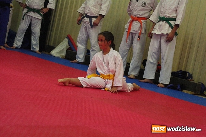 Zdjęcie w galerii na portalu naszwodzislaw.com:  Festiwal Sztuk Walki w Marklowicach. ZDJĘCIA  wiadomości z regionu