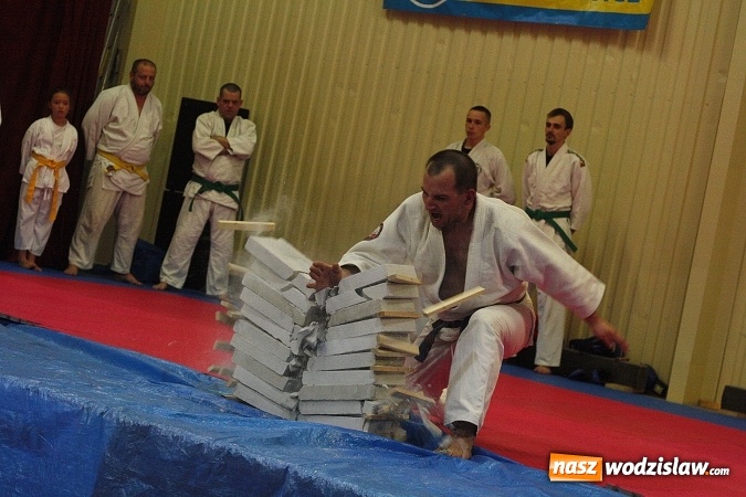 Zdjęcie w galerii na portalu naszwodzislaw.com:  Festiwal Sztuk Walki w Marklowicach. ZDJĘCIA  wiadomości z regionu