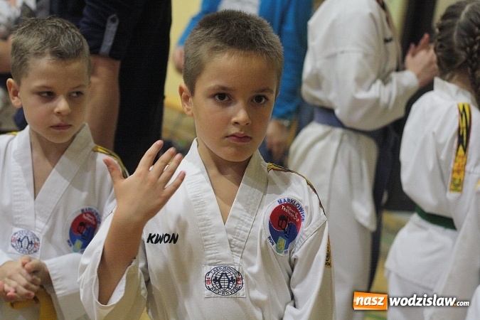 Zdjęcie w galerii na portalu naszwodzislaw.com:  Festiwal Sztuk Walki w Marklowicach. ZDJĘCIA  wiadomości z regionu