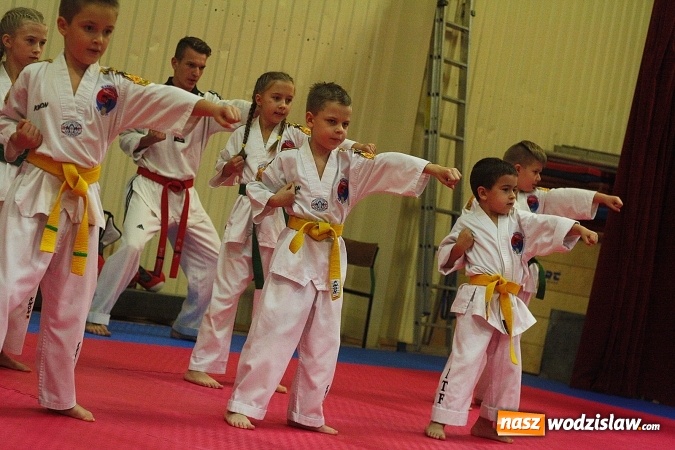 Zdjęcie w galerii na portalu naszwodzislaw.com:  Festiwal Sztuk Walki w Marklowicach. ZDJĘCIA  wiadomości z regionu