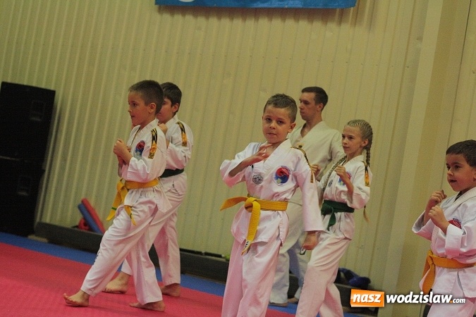 Zdjęcie w galerii na portalu naszwodzislaw.com:  Festiwal Sztuk Walki w Marklowicach. ZDJĘCIA  wiadomości z regionu