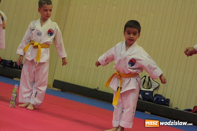 Zdjęcie w galerii na portalu naszwodzislaw.com:  Festiwal Sztuk Walki w Marklowicach. ZDJĘCIA  wiadomości z regionu