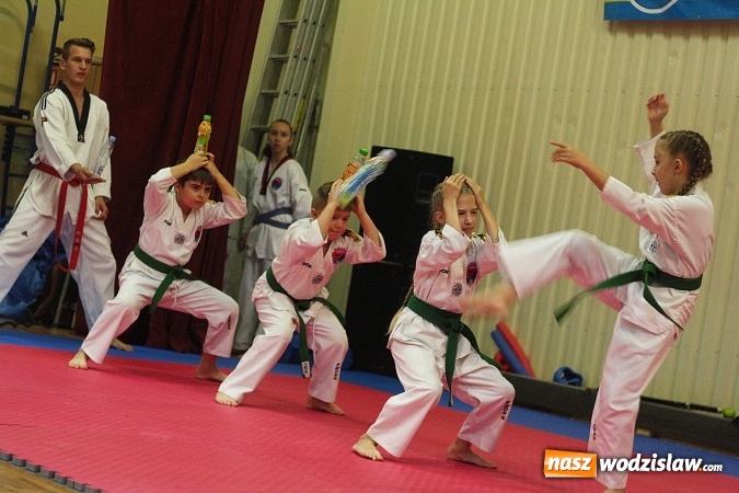 Zdjęcie w galerii na portalu naszwodzislaw.com:  Festiwal Sztuk Walki w Marklowicach. ZDJĘCIA  wiadomości z regionu