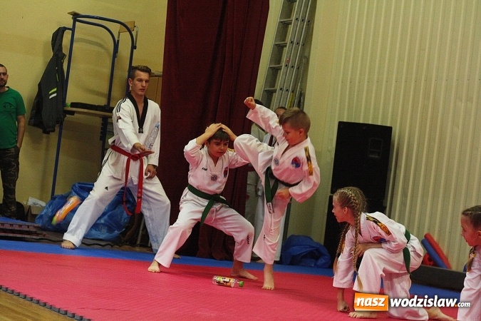 Zdjęcie w galerii na portalu naszwodzislaw.com:  Festiwal Sztuk Walki w Marklowicach. ZDJĘCIA  wiadomości z regionu