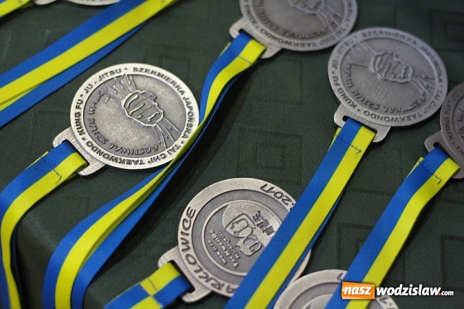 Zdjęcie w galerii na portalu naszwodzislaw.com:  Festiwal Sztuk Walki w Marklowicach. ZDJĘCIA  wiadomości z regionu