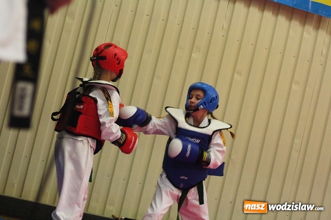 Zdjęcie w galerii na portalu naszwodzislaw.com:  Festiwal Sztuk Walki w Marklowicach. ZDJĘCIA  wiadomości z regionu