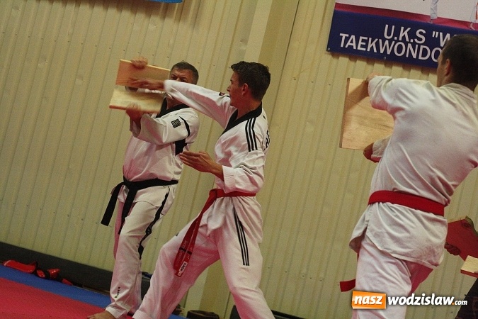 Zdjęcie w galerii na portalu naszwodzislaw.com:  Festiwal Sztuk Walki w Marklowicach. ZDJĘCIA  wiadomości z regionu