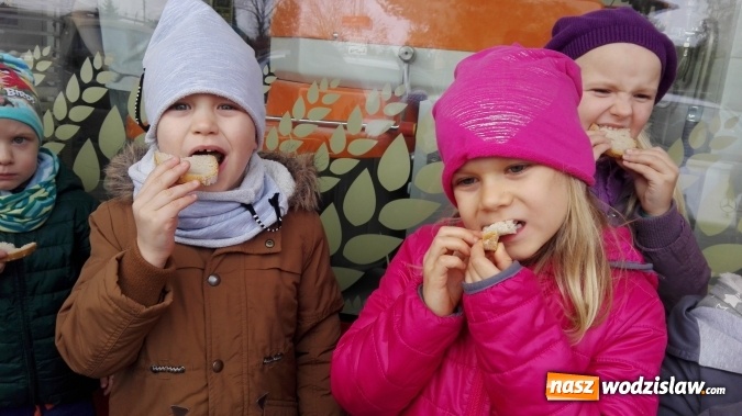 Zdjęcie w galerii na portalu naszwodzislaw.com: Jak powstaje chleb?  wiadomości z regionu