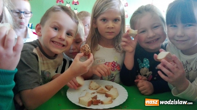 Zdjęcie w galerii na portalu naszwodzislaw.com: Jak powstaje chleb?  wiadomości z regionu