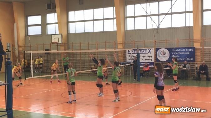 Zdjęcie w galerii na portalu naszwodzislaw.com: To był kolejny wyśmienity tydzień dla siatkarek wodzisławskiej ZORZY  wiadomości z regionu