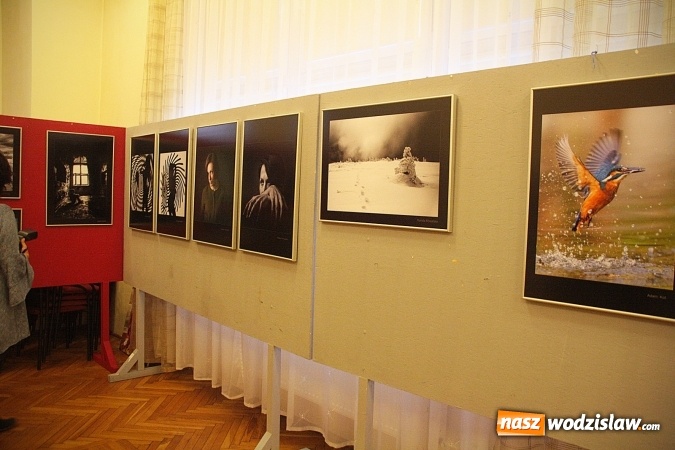 Zdjęcie w galerii na portalu naszwodzislaw.com: To była uczta dla fanów fotografii  wiadomości z regionu