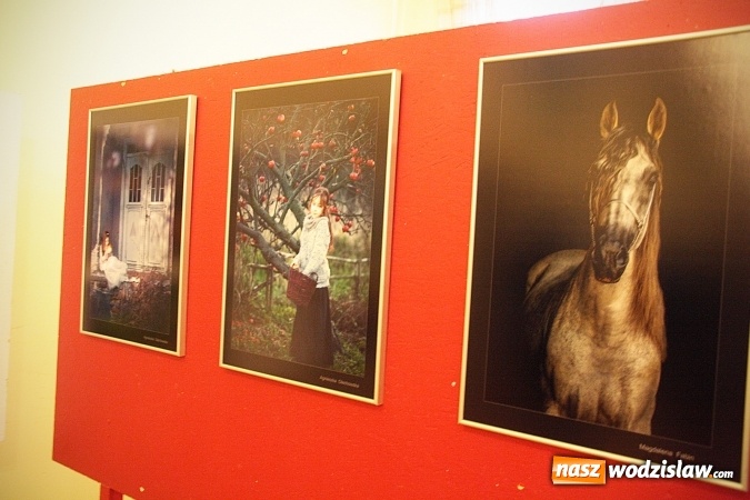 Zdjęcie w galerii na portalu naszwodzislaw.com: To była uczta dla fanów fotografii  wiadomości z regionu