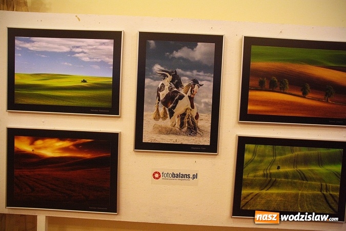 Zdjęcie w galerii na portalu naszwodzislaw.com: To była uczta dla fanów fotografii  wiadomości z regionu