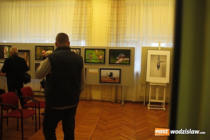 Zdjęcie w galerii na portalu naszwodzislaw.com: To była uczta dla fanów fotografii  wiadomości z regionu