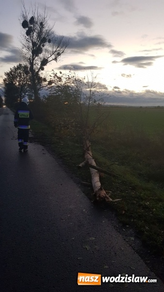 Zdjęcie w galerii na portalu naszwodzislaw.com: Orkan Grzegorz dał się we znaki. Strażacy mieli pełne ręce roboty  wiadomości z regionu