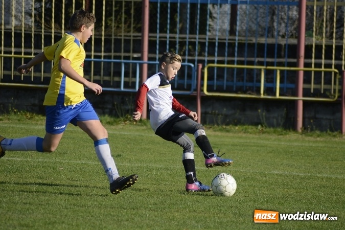 Zdjęcie w galerii na portalu naszwodzislaw.com: Pewne zwycięstwo trampkarzy Rogowa w starciu z Lubomią wiadomości z regionu