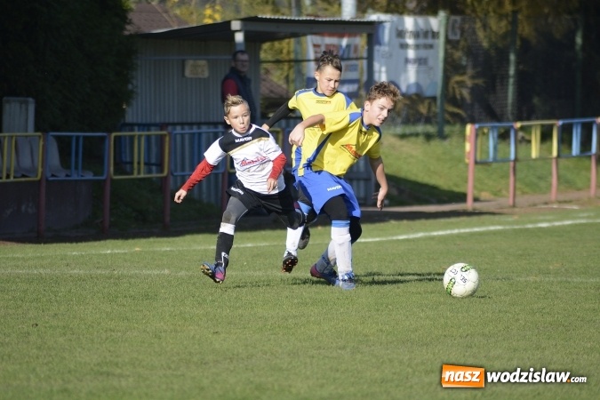 Zdjęcie w galerii na portalu naszwodzislaw.com: Pewne zwycięstwo trampkarzy Rogowa w starciu z Lubomią wiadomości z regionu