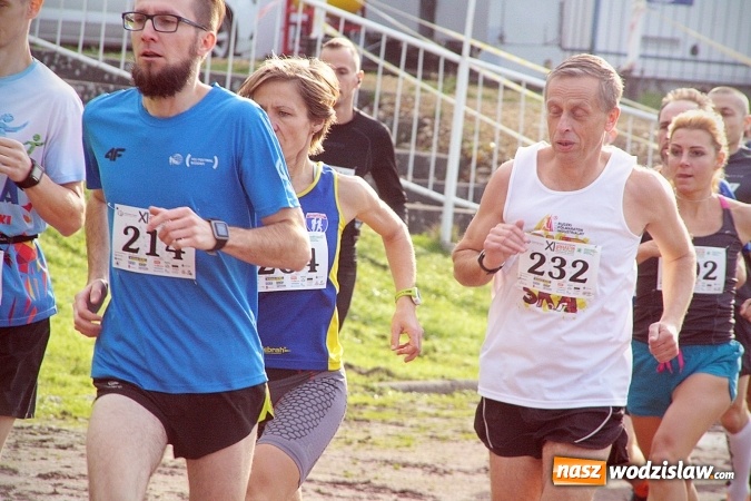 Zdjęcie w galerii na portalu naszwodzislaw.com: Około 300 zawodników na starcie Wodzisławskiego Półmaratonu. ZDJĘCIA  wiadomości z regionu